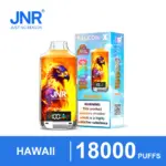 JNR Falcon-X 18K Hawaii disposable vape with eagle artwork and matching box