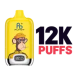 12000 Puff Vapes
